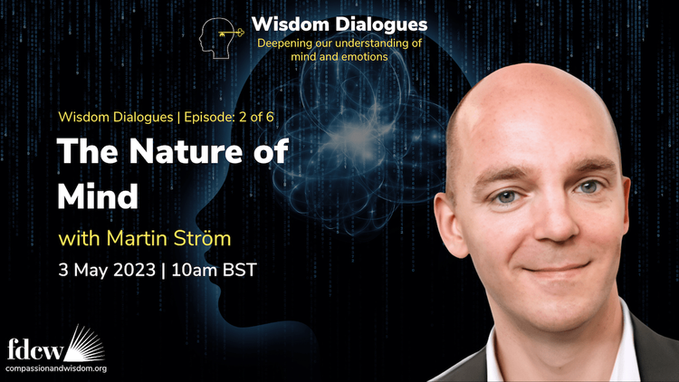 Wisdom Dialogues Episode 2: The Nature of Mind with Martin Ström — FDCW